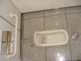 A Japanese-style toilet