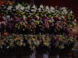 Flowers inside the temple