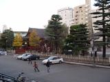 That other building, seen through the trees