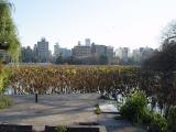 Looking over the lake towards the Tokyo cityscape.