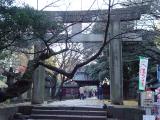 A gate leading to a large temple