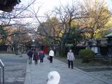 The view from the temple, looking back